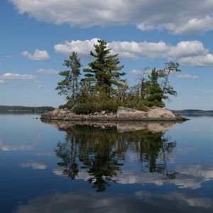 Meet your Posher, Shelly